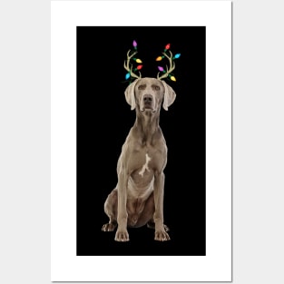 Weimaraner Reindeer Christmas Posters and Art